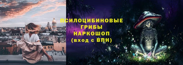 твердый Дмитровск